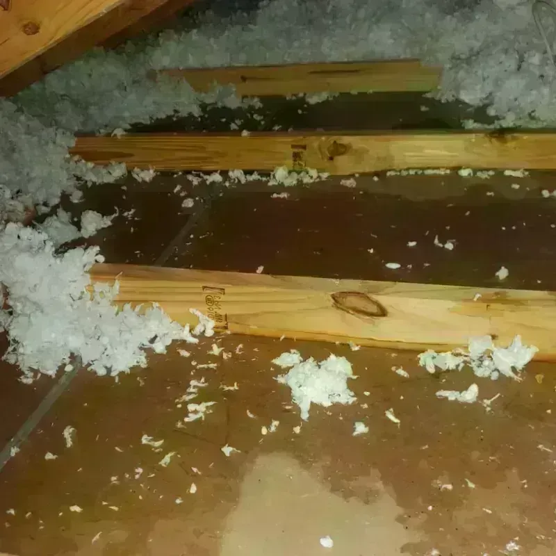 Attic Water Damage in Grants, NM